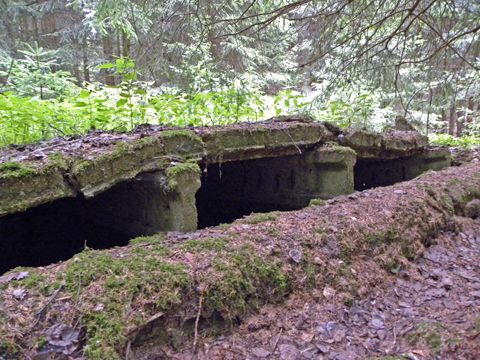 Foto 47